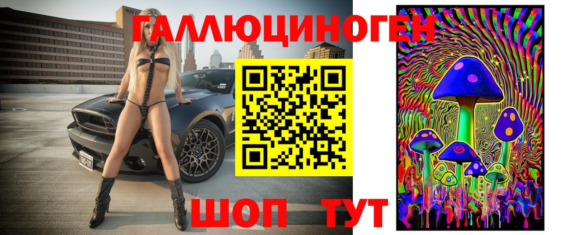 Галлюциногенные грибы Cubensis Великий Устюг