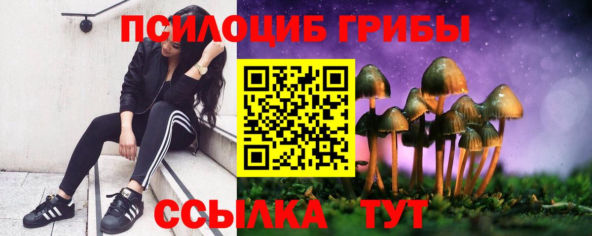 Великий Устюг  Псилоцибиновые грибы Cubensis  Псилоцибиновые грибы MAGIC MUSHROOMS  Вход с VPN 